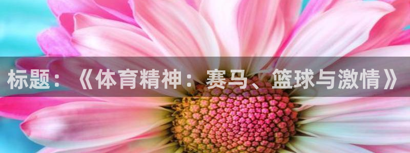 球客岛