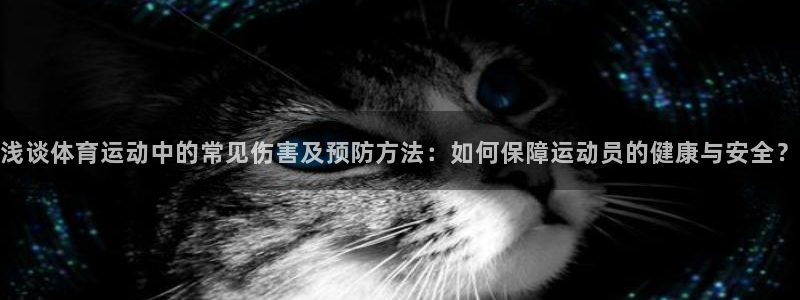 球客岛