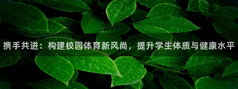 球客岛
