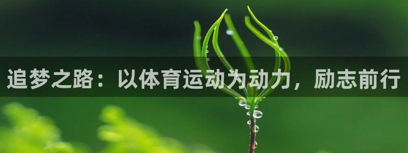 球客岛