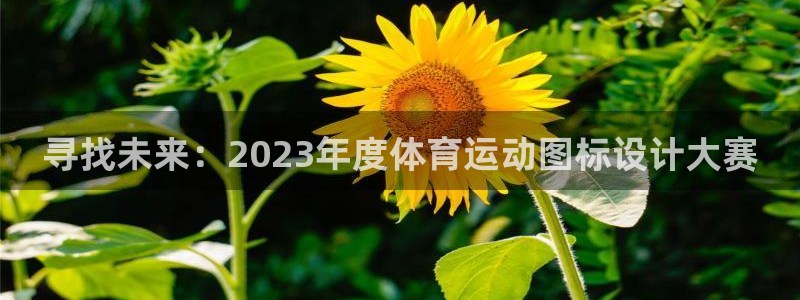 球客岛