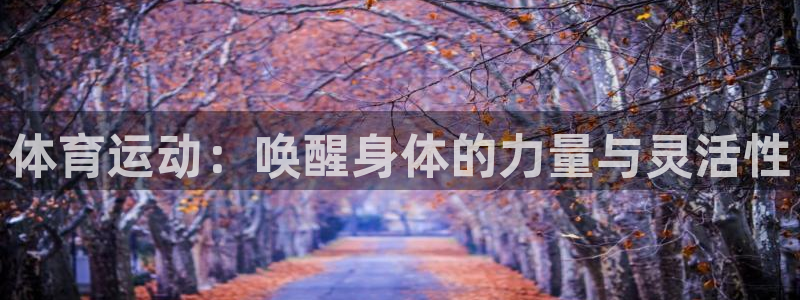 球客岛