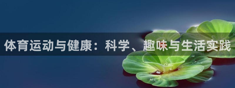 球客岛