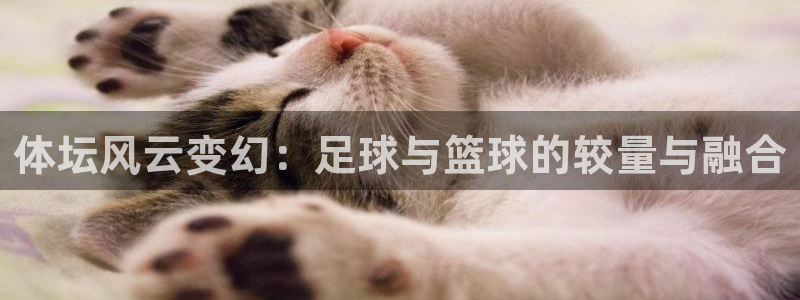球客岛